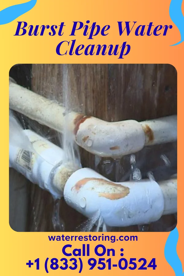 Burst Pipe Water Cleanup in Town and Country, MO